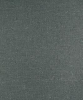 Aslan 22306 M9430 by Barrow Industries Designer Fabric Textures/Solids/17C05 86% POLYESTER (S)
14% LINEN Asia 24,000 DOUBLE RUBS Horizontal: - and Vertical: - 59" - Swanky Fabrics -