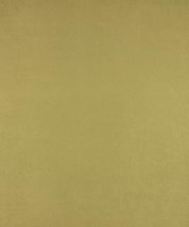 All-Star Verde M6802 by Barrow Designer Fabric 12CL06 56% POLYESTER (S)
44% POLYESTER (F) CHINA 40,000 DOUBLE RUBS </p><p>Repeat: Horizontal: N/A and Vertical: N/A 54" Minimum - Swanky Fabrics -