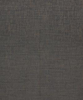 Downy 12319 M10348 by Barrow Designer Fabric 18C01 100% POLYESTER CHINA 15,000 DOUBLE RUBS </p><p>Repeat: Horizontal: and Vertical: 54" Minimum - Swanky Fabrics -