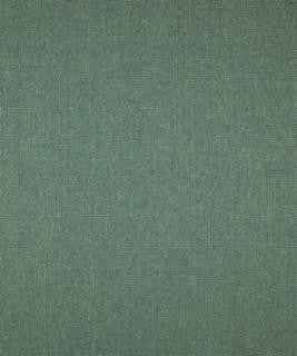 Thick And Thin Lake M9269 by Barrow Industries Designer Fabric Performance Fabrics/12CL06 100% POLYESTER FILAMENT-TEXTURED Asia 50,000 DOUBLE RUBS Horizontal: N/A and Vertical: N/A 60" - Swanky Fabrics -