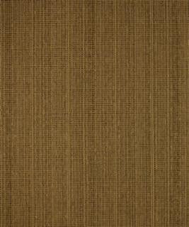 Hypothesis Husk M9497 by Barrow Designer Fabric 13C05 37% POLYESTER
32% RAYON
31% COTTON CHINA 9,000 DOUBLE RUBS </p><p>Repeat: Horizontal: N/A and Vertical: N/A 54" Minimum - Swanky Fabrics -