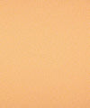 Barrow Industries Fabric Transom Sunshine M9729
