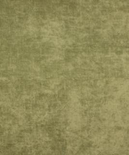 Shine Fern M9276 by Barrow Industries Designer Fabric Performance Fabrics/12C01 93% POLYESTER
7% NYLON Asia 30,000 DOUBLE RUBS Horizontal: - and Vertical: - 56" - Swanky Fabrics -