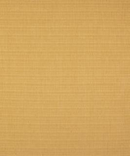 Perez Plantain M9062 by Barrow Designer Fabric 1413 100% POLYESTER CHINA 15,000 DOUBLE RUBS </p><p>Repeat: Horizontal: N/A and Vertical: N/A 54" Minimum - Swanky Fabrics -