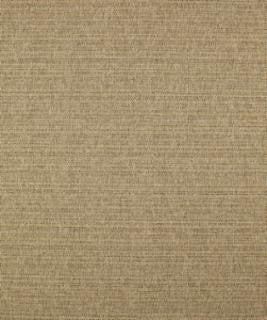 Caspian 11111 M10256 by Barrow Industries Designer Fabric Casual Living/18C02 66% POLYESTER FILAMENT-TEXTURED
34% POLYESTER FILAMENT NON-TEXTURED Asia 36,000 DOUBLE RUBS Horizontal: - and Vertical: - 57" - Swanky Fabrics -