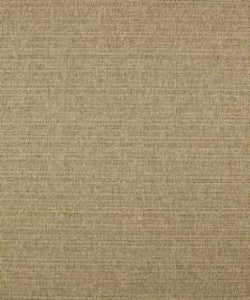Barrow Fabric Caspian 11111 M10256