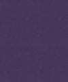Barrow Industries Fabric Counterpoint 21805 M9989