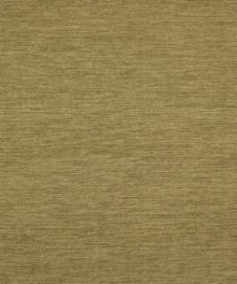 Bravest Sprout M9500 by Barrow Designer Fabric 15CL04 81% POLYESTER
19% ACRYLIC CHINA 30,000 DOUBLE RUBS </p><p>Repeat: Horizontal: N/A and Vertical: N/A 54" Minimum - Swanky Fabrics -