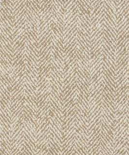 Term 41113 M10316 by Barrow Industries Fabric Barrow Industries Fabric Term 41113 M10316Fabric 22C10 100% POLYESTER (S) Imported </p><p>Repeat: H: , V: 58" - Fabric Carolina -