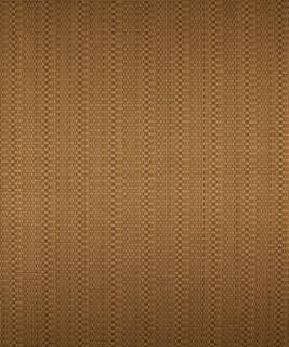 Corolla Pecan M8647 by Barrow Designer Fabric 11C08 57% RAYON (S)
43% POLYESTER (F) CHINA 60,000 DOUBLE RUBS </p><p>Repeat: Horizontal: N/A and Vertical: N/A 54" Minimum - Swanky Fabrics -