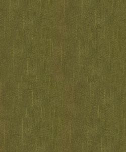 Salter Sage M7407 by Barrow Designer Fabric 2807 100% POLYESTER FILAMENT NON-TEXTURED CHINA 50,000 DOUBLE RUBS </p><p>Repeat: Horizontal: N/A and Vertical: N/A 54" Minimum - Swanky Fabrics -