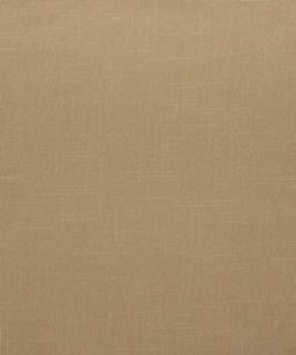 Kabul 11303 M10441 by Barrow Designer Fabric 18C04 86% POLYESTER FILAMENT NON-TEXTURED
14% POLYESTER (S) CHINA 15,000 DOUBLE RUBS </p><p>Repeat: Horizontal: and Vertical: 54" Minimum - Swanky Fabrics -