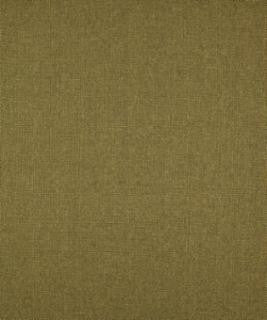 Thick And Thin Rosemary M9269 by Barrow Designer Fabric 12CL06 100% POLYESTER FILAMENT-TEXTURED CHINA 50,000 DOUBLE RUBS </p><p>Repeat: Horizontal: N/A and Vertical: N/A 54" Minimum - Swanky Fabrics -