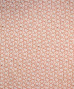 Barrow Fabric Topsham 21415 M9861
