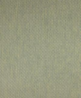 Pavia 12114 M10310 by Barrow Designer Fabric 1869 79% POLYESTER (S) 21% POLYESTER (F) CHINA 50,000 DOUBLE RUBS </p><p>Repeat: Horizontal: 3/4" and Vertical: 3/4" 54" Minimum - Swanky Fabrics -