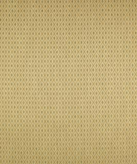 Diderot Platinum M6107 by Barrow Industries Designer Fabric Traditional/2769 41% POLYESTER
31% ACRYLIC
28% RAYON Asia 15,000 DOUBLE RUBS Horizontal: 1" and Vertical: 0-3/4" 56" - Swanky Fabrics -