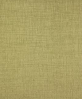 Core Banks Sprout M8776 by Barrow Designer Fabric 11C05 100% POLYESTER CHINA 12,000 DOUBLE RUBS </p><p>Repeat: Horizontal: N/A and Vertical: N/A 54" Minimum - Swanky Fabrics -