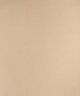 Saguaro Ivory M9591 by Barrow Industries Designer Fabric Casual Living/14C01 100% POLYESTER Asia 9,000 DOUBLE RUBS Horizontal: - and Vertical: - 57" - Swanky Fabrics -