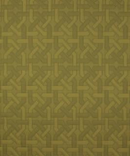 Labyrinth Bonsai M9010 by Barrow Designer Fabric 12CL03 36% COTTON 33% POLYESTER (F) 31% OLEFIN (F) CHINA 15,000 DOUBLE RUBS </p><p>Repeat: Horizontal: 6-3/4" and Vertical: 6-3/4" 54" Minimum - Swanky Fabrics -