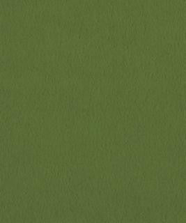 Santiago 2105 M10751 by Barrow Industries Fabric Barrow Industries Fabric Santiago 2105 M10751Fabric DRS SANTIAGO 100% POLYESTER KNIT PILE FABRIC Imported </p><p>Repeat: H: , V: 57" - Fabric Carolina -