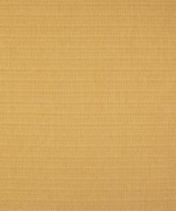 Barrow Fabric Perez Plantain M9062