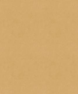 Torino 21005 M9989 by Barrow Designer Fabric 1869 100% POLYESTER KNIT PILE FABRIC CHINA 30,000 DOUBLE RUBS </p><p>Repeat: Horizontal: and Vertical: 54" Minimum - Swanky Fabrics -