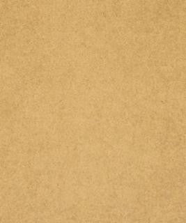 Somerville Camel M8915 by Barrow Industries Designer Fabric Transitional/1113 100% POLYESTER Asia 24,000 DOUBLE RUBS Horizontal: N/A and Vertical: N/A 57" - Swanky Fabrics -
