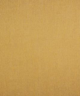 Sure Thing Topaz M7929 by Barrow Designer Fabric 2907 62% POLYESTER
38% RAYON CHINA 15,000 DOUBLE RUBS </p><p>Repeat: Horizontal: N/A and Vertical: N/A 54" Minimum - Swanky Fabrics -