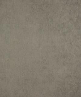 Fierce Carbon M9583 by Barrow Designer Fabric 15CL04 91% POLYESTER 9% NYLON CHINA 50,000 DOUBLE RUBS </p><p>Repeat: Horizontal: 0" and Vertical: 0" 54" Minimum - Swanky Fabrics -