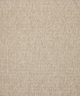 Throttle 11001 M10520R by Barrow Designer Fabric 19CL04 69% POLYESTER FILAMENT NON-TEXTURED 31% POLYESTER FILAMENT-TEXTURED CHINA 21,000 DOUBLE RUBS </p><p>Repeat: Horizontal: and Vertical: 54" Minimum - Swanky Fabrics -