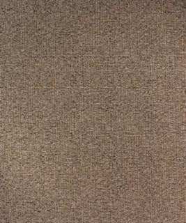 Liberate Birch M9877 by Barrow Designer Fabric 15C05 80% POLYESTER FILAMENT-TEXTURED
20% POLYESTER FILAMENT NON-TEXTURED CHINA 24,000 DOUBLE RUBS </p><p>Repeat: Horizontal: and Vertical: 54" Minimum - Swanky Fabrics -