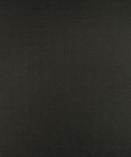 Brinkley Graphite M9134 by Barrow Industries Designer Fabric Transitional/1213 52% POLYESTER FILAMENT-TEXTURED
48% POLYESTER FILAMENT NON-TEXTURED Asia 30,000 DOUBLE RUBS Horizontal: N/A and Vertical: N/A 58" - Swanky Fabrics -
