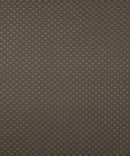 Bisect Hematite M8673 by Barrow Designer Fabric 11C03 65% RAYON
35% POLYESTER CHINA 9,000 DOUBLE RUBS </p><p>Repeat: Horizontal: 0-3/4" and Vertical: 0-5/8" 54" Minimum - Swanky Fabrics -