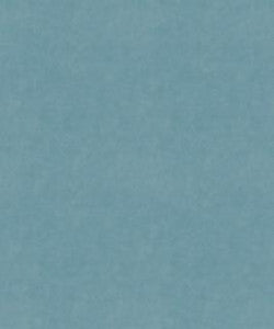 Barrow Fabric Counterpoint 42001 M9989