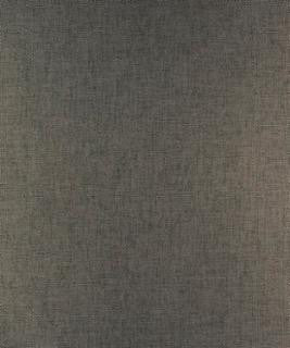 Clorinda 12308 M9701 by Barrow Designer Fabric 2107 100% POLYESTER FILAMENT-TEXTURED CHINA 30,000 DOUBLE RUBS </p><p>Repeat: Horizontal: and Vertical: 54" Minimum - Swanky Fabrics -