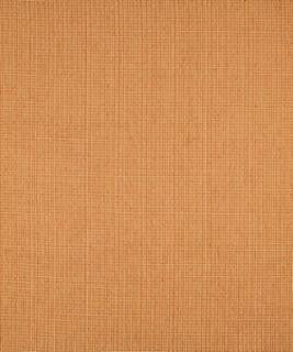 Playground 11405 M9488 by Barrow Designer Fabric 17CL10 51% POLYESTER 49% RAYON CHINA 15,000 DOUBLE RUBS </p><p>Repeat: Horizontal: N/A and Vertical: N/A 54" Minimum - Swanky Fabrics -