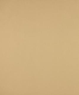 No Worries Platinum M9166 by Barrow Designer Fabric 12CL06 67% POLYESTER (F)
33% POLYESTER (S) CHINA 50,000 DOUBLE RUBS </p><p>Repeat: Horizontal: N/A and Vertical: N/A 54" Minimum - Swanky Fabrics -