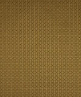 Nutley Forest M7839 by Barrow Industries Designer Fabric Traditional/2869 68% RAYON
32% POLYESTER Asia 15,000 DOUBLE RUBS Horizontal: 0-5/8" and Vertical: 0-3/4" 56" - Swanky Fabrics -