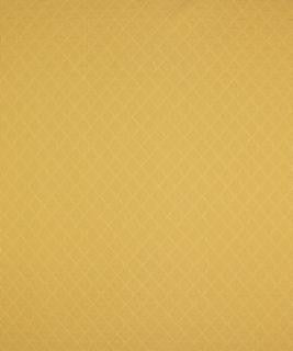 Upton Buttercup M6635 by Barrow Designer Fabric 2807 57% COTTON
43% POLYESTER CHINA 15,000 DOUBLE RUBS </p><p>Repeat: Horizontal: 1" and Vertical: 1" 54" Minimum - Swanky Fabrics -