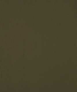 Ciabatta 12105 M10436 by Barrow Designer Fabric 18C09 100% POLYESTER KNIT PILE FABRIC CHINA 30,000 DOUBLE RUBS </p><p>Repeat: Horizontal: and Vertical: 54" Minimum - Swanky Fabrics -