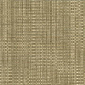 Kasmir Fabric In Flux Linen