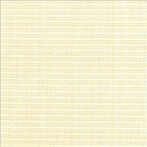 Kasmir Fabric In Flux Natural