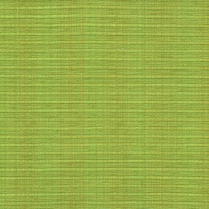 In Flux Snow Pea by Kasmir Designer Fabric 1442 100% Cotton
 INDIA </p><p>Repeat: Horizontal: N/A and Vertical: N/A 54 - 55 - Swanky Fabrics -