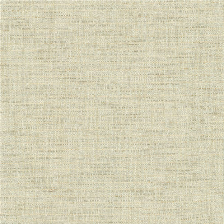 Integrity Mist by Kasmir Designer Fabric See sample 66% Polyester
22% Olefin
12% Cotton
 USA 50,000 Wyzenbeek Double Rubs </p><p>Repeat: Horizontal: N/A and Vertical: N/A 54 - Swanky Fabrics -