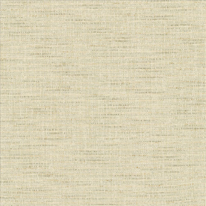 Integrity Mist by Kasmir Designer Fabric 5171 66% Polyester
22% Olefin
12% Cotton
 USA </p><p>Repeat: Horizontal: N/A and Vertical: N/A 54 - Swanky Fabrics -