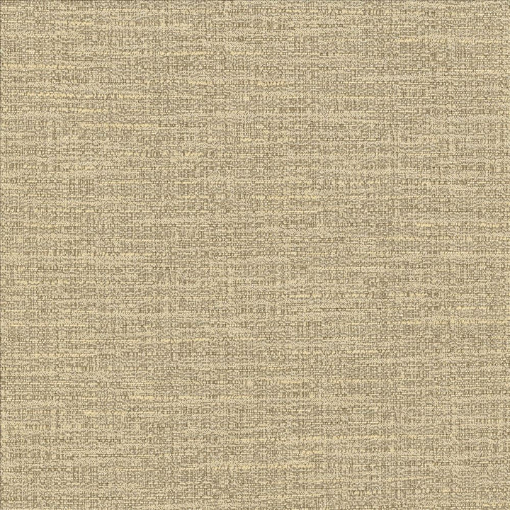 Ipanema Cashmere by Kasmir Designer Fabric 5181 59% Cotton
41% Polyester
 TAIWAN 12,000 Wyzenbeek Double Rubs </p><p>Repeat: Horizontal: N/A and Vertical: N/A 54 - Swanky Fabrics -