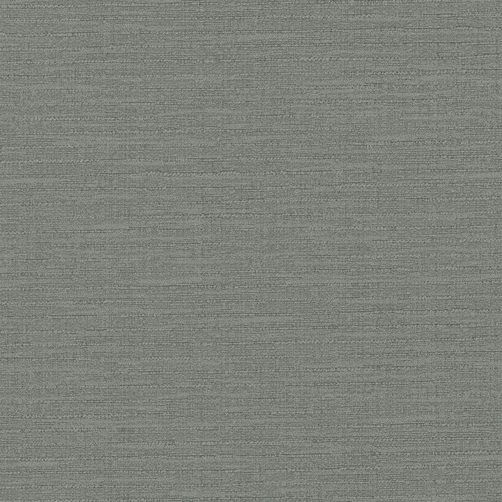 Ipanema Granite by Kasmir Designer Fabric See sample 51% Cotton
49% Polyester
 TAIWAN 15,000 Wyzenbeek Double Rubs </p><p>Repeat: Horizontal: N/A and Vertical: N/A 54 - Swanky Fabrics -
