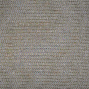 Kasmir Fabric Jonas Raffia