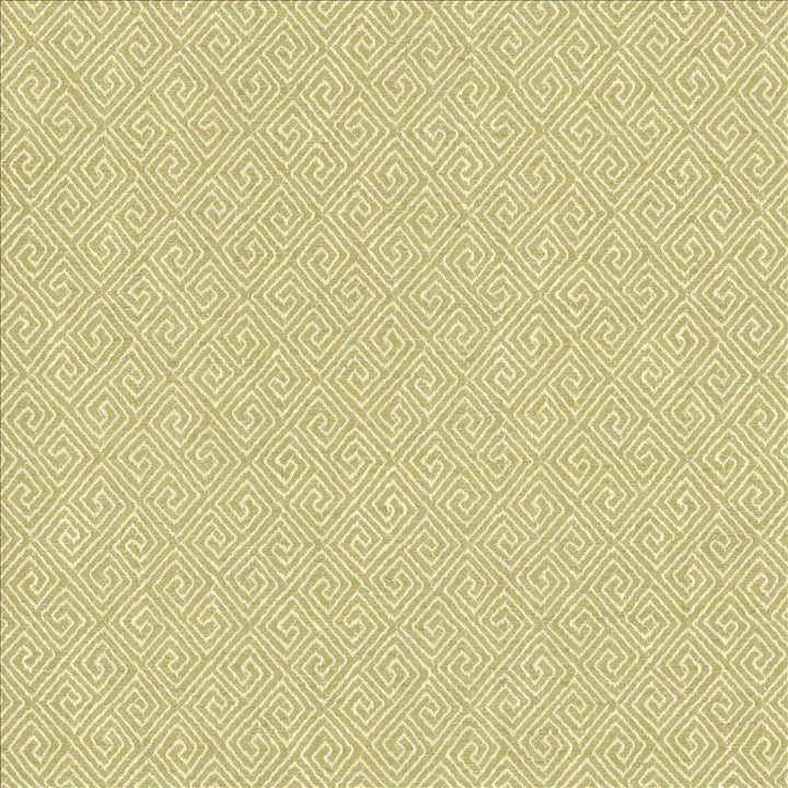 Kaiping Pear by Kasmir Designer Fabric 1461 59% Polyester
41% Cotton
 INDIA 100,000 Wyzenbeek Double Rubs </p><p>Repeat: Horizontal: 2 5/8 inches and Vertical: 3 inches 53 - Swanky Fabrics -