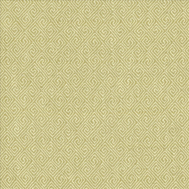 Kaiping Pear by Kasmir Designer Fabric 1461 59% Polyester
41% Cotton
 INDIA </p><p>Repeat: Horizontal: 2 5/8 inches and Vertical: 3 inches 57 - Swanky Fabrics -